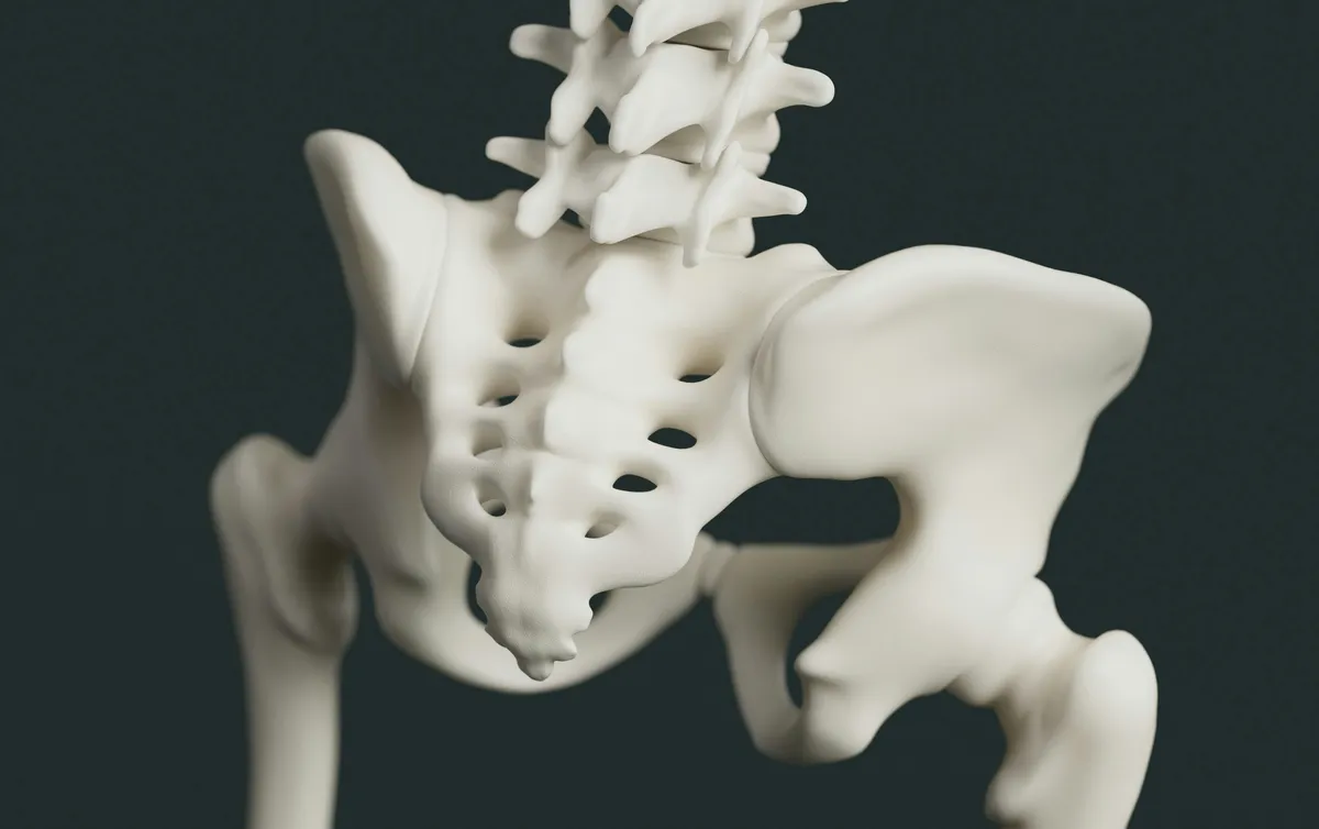Bekkenbodemfysiotherapie behandeling bij ZorgWereld