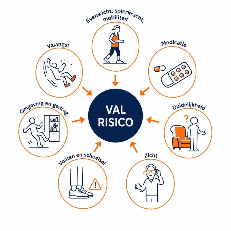 Valrisicofactoren infographic ZorgWereld valpreventie